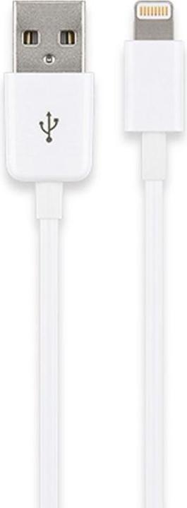 Actual product image AccuCell USB Sync & Charge Cable for Apple iPhone etc.