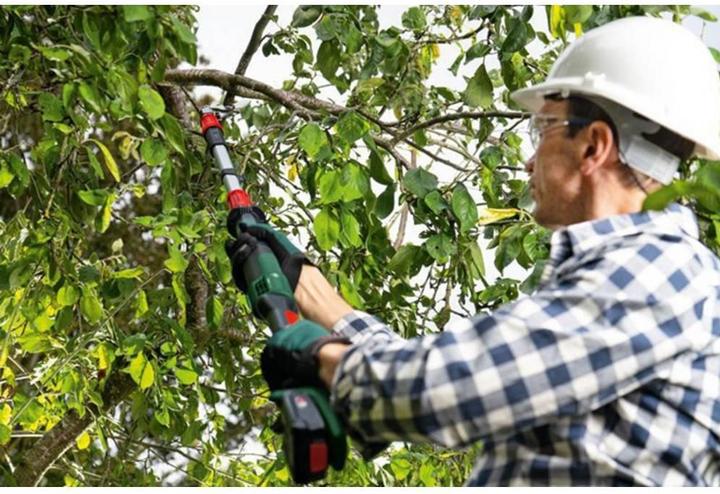 Image du produit Bosch Hausgeräte AkkuGartenschere Adv.Prune