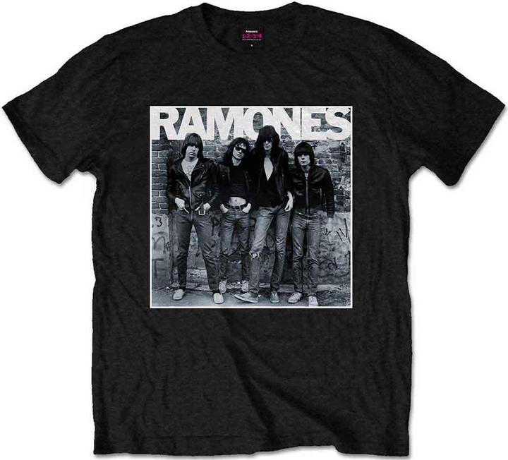 Ramones 1st Album