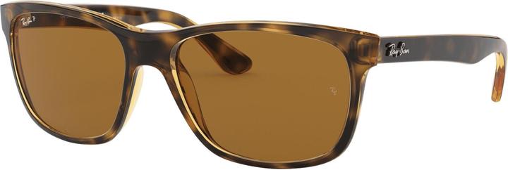Brown Classic, Tortoise