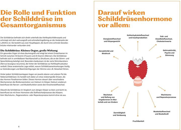 Produktbild Kneipp Soforthilfe bei Schilddrüsenunterfunktion und Hashimoto (Deutsch, Dr. med. Dorothea Leinung)