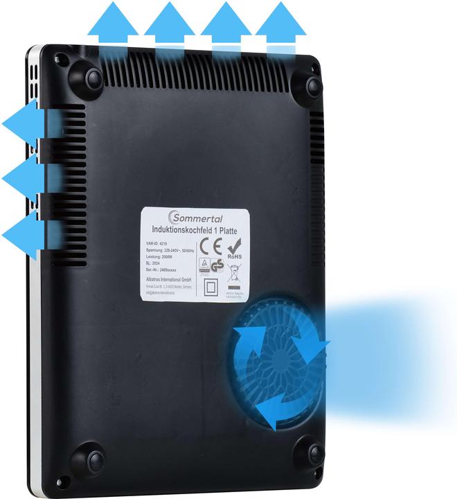 Actual product image Albatros International Summer valley 1