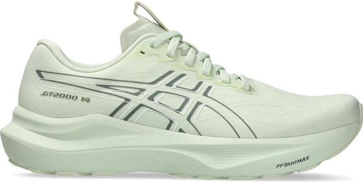 Produktbild ASICS Performance GT-2000 14 (43.5)