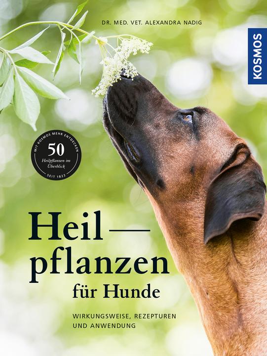 Produktbild Kosmos Heilpflanzen für Hunde (Deutsch, Alexandra Nadig, 2018)