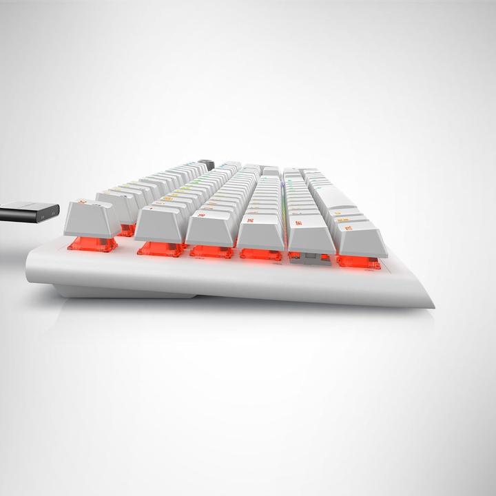 Actual product image Dell Alienware AW920K (US, Cable, Wireless)