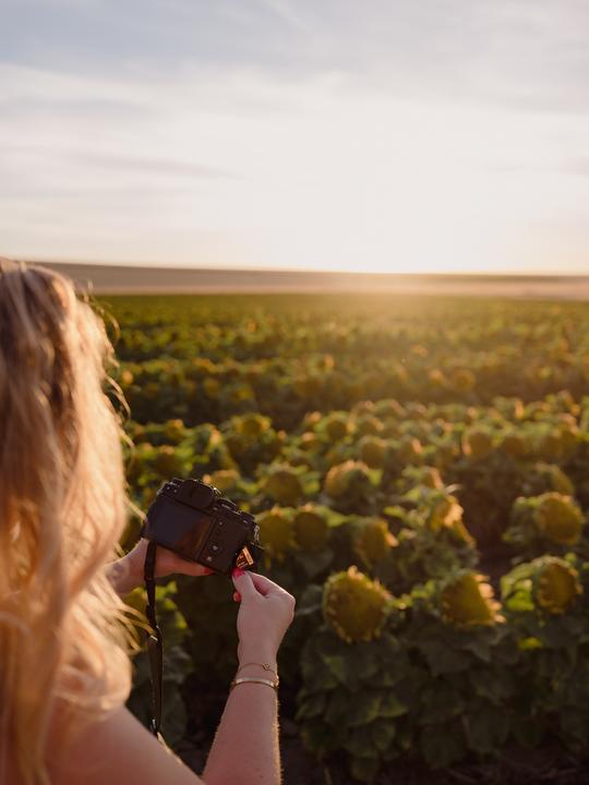 Image du produit Lexar Professional Gold Series (256 Go, SDXC, U3, UHS-II)