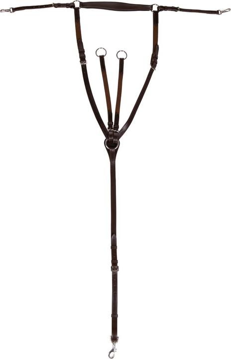 Image du produit Qhp collier de chasse pour cheval basic pro