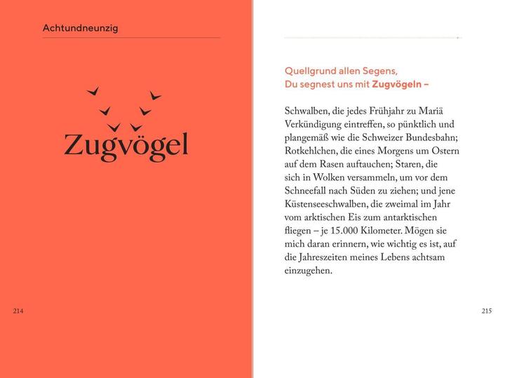 Immagine prodotto Die Kraft des Staunens (Tedesco, David Steindl-Rast, 2022)