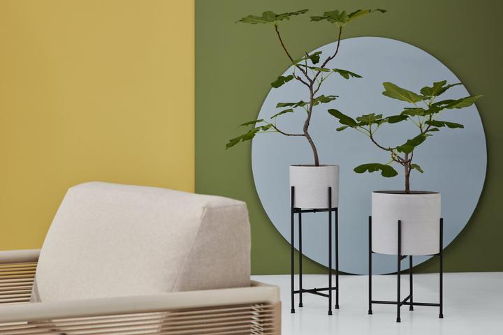 Produktbild micasa Minea (32 x 28 cm)