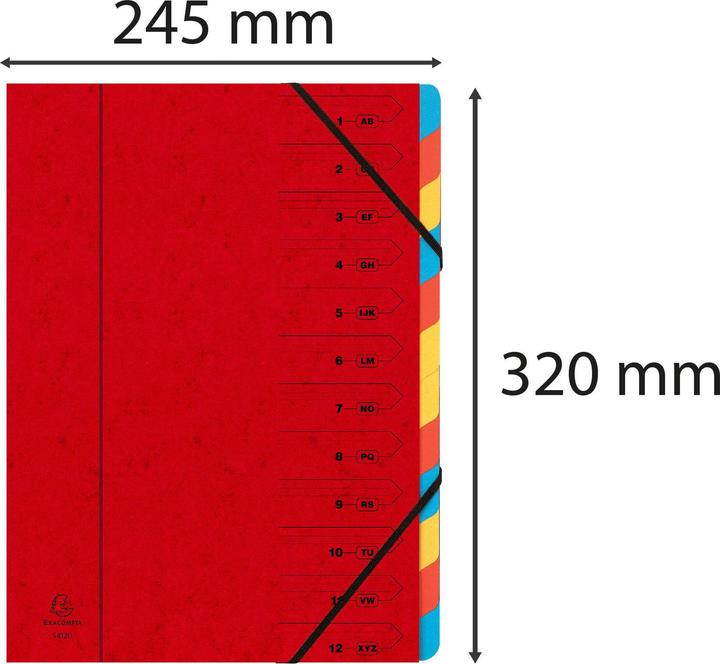 Immagine prodotto Exacompta Cartelle A4 (A4, 1x)