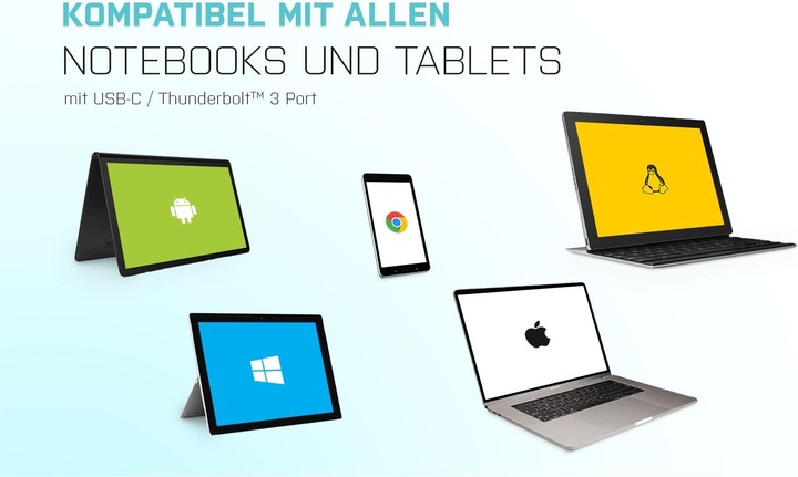 Immagine prodotto i-tec USB Typ-C zu (DP, 15 cm)