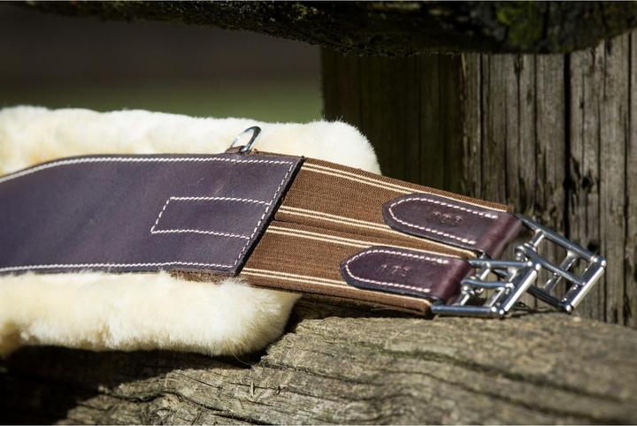 Produktbild HFI Master Sattelgurt