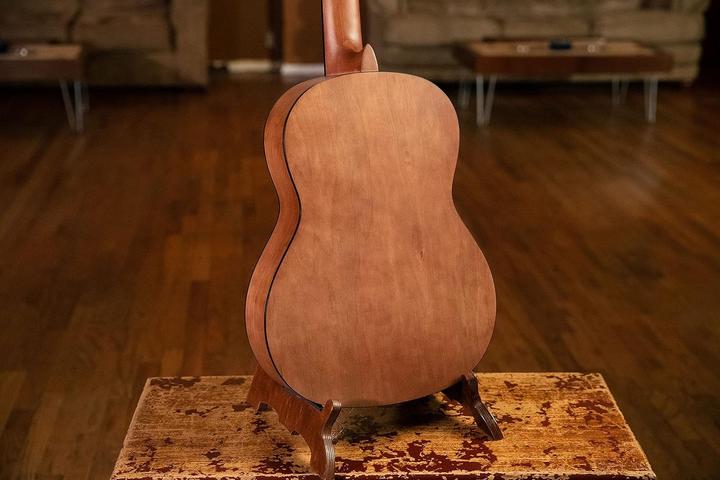 Actual product image Ortega Family Series Pro Solid Top Nylon Classical Guitar (Classical guitar, Solid ceiling)