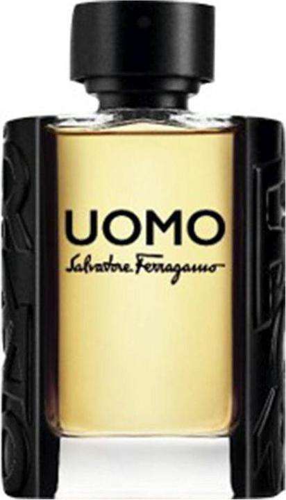 Immagine prodotto Salvatore Ferragamo S. Ferragamo Uomo Pour Homme Edt Spray (Eau de toilette, 100 ml)