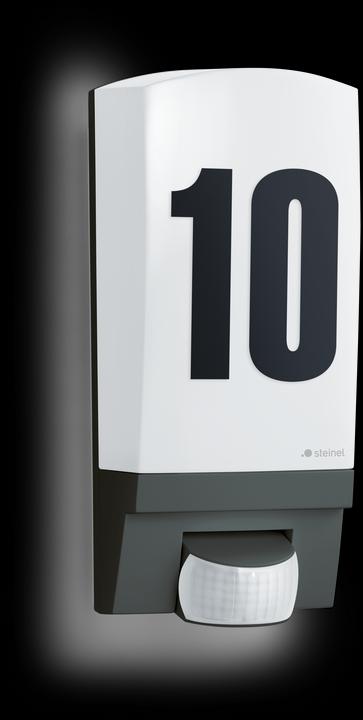 Steinel Sensorlampe L 1, schwarz (10 m)