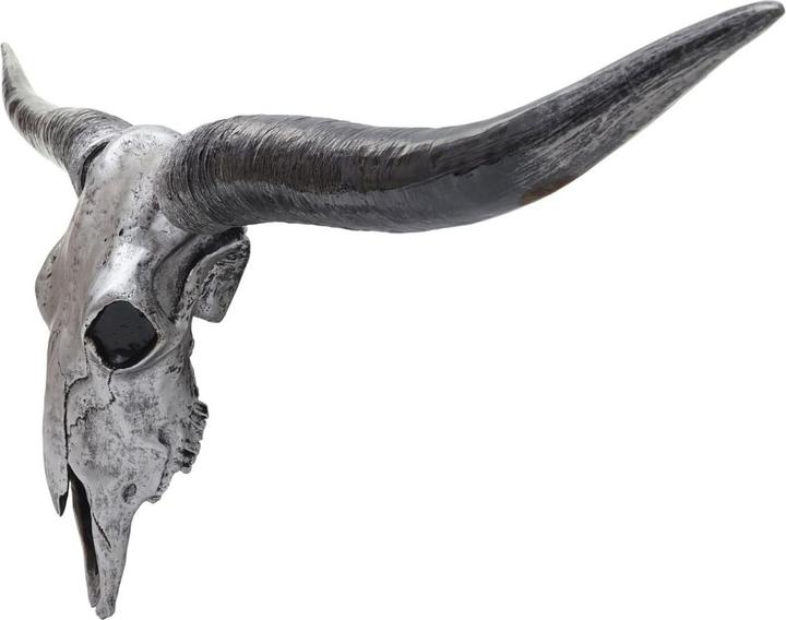 Immagine prodotto Swisshandel24 Teschio di toro