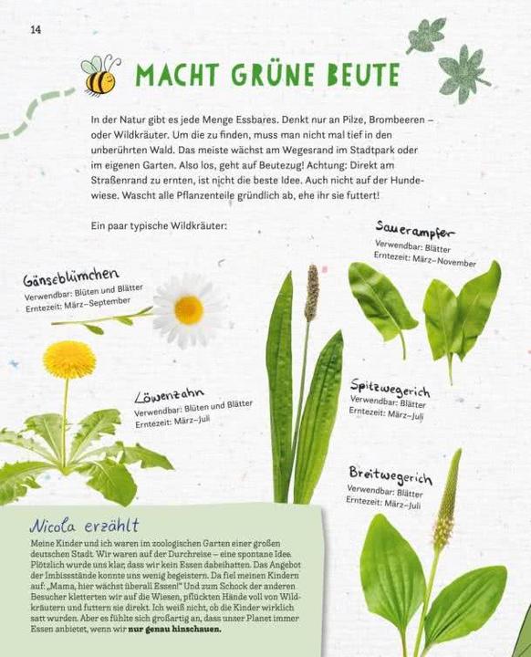 Productafbeelding Spiele & Rituale für euren Alltag (Duits, Martin Verg, Nicola Schmidt, 2026)