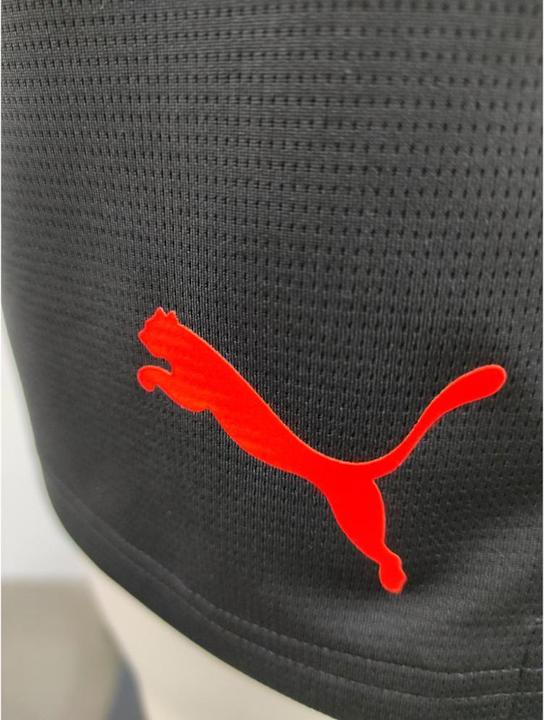 Actual product image Puma individualCUP shorts (M)