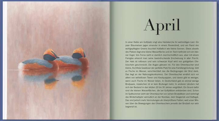 Image du produit Der illustrierte Vogelkalender 2026