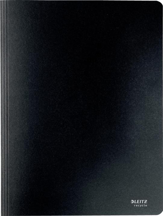 Actual product image Leitz Recycle (A4, 1x)
