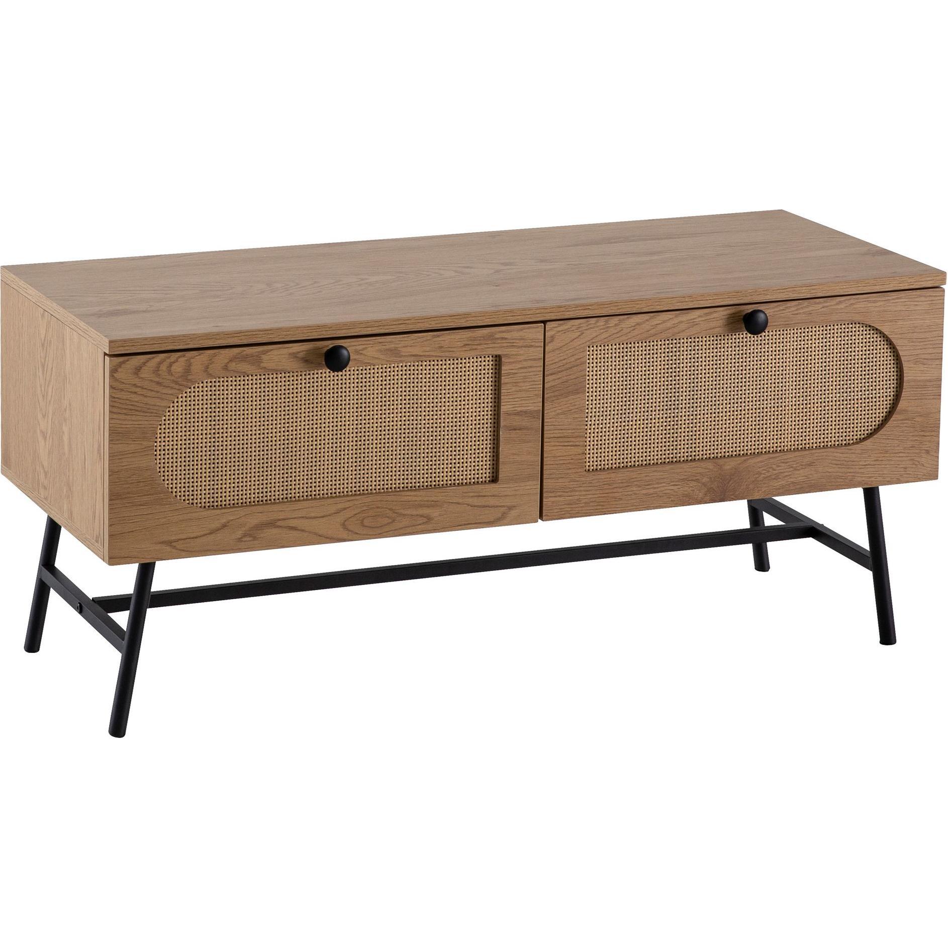 FineBuy, TV Möbel, Fernsehkommode (100 x 40 x 45 cm)
