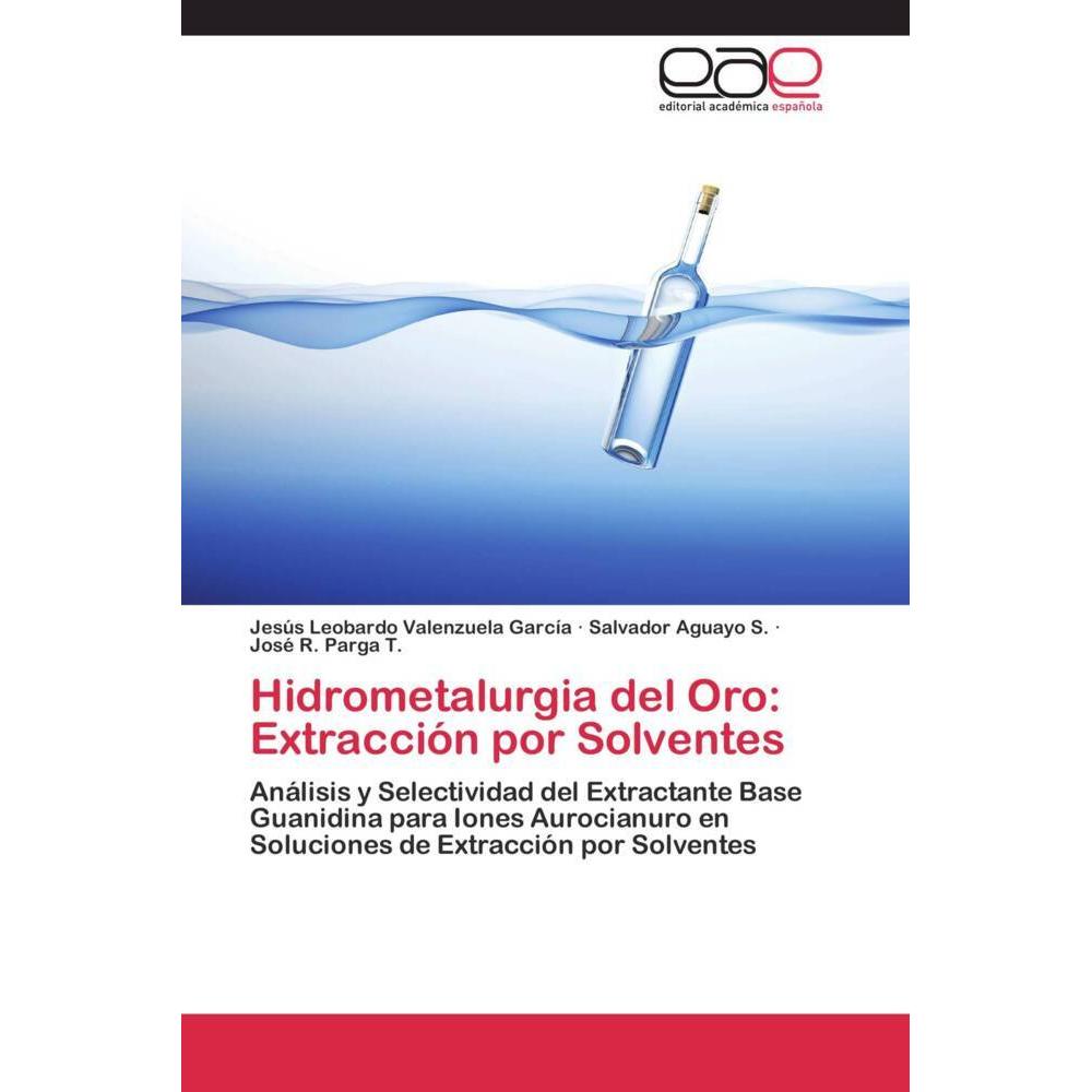 Hidrometalurgia del Oro: Extracción por Solventes, Fachbücher von José R. Parga T., Salvador Aguayo S., Jesús Leobardo V...