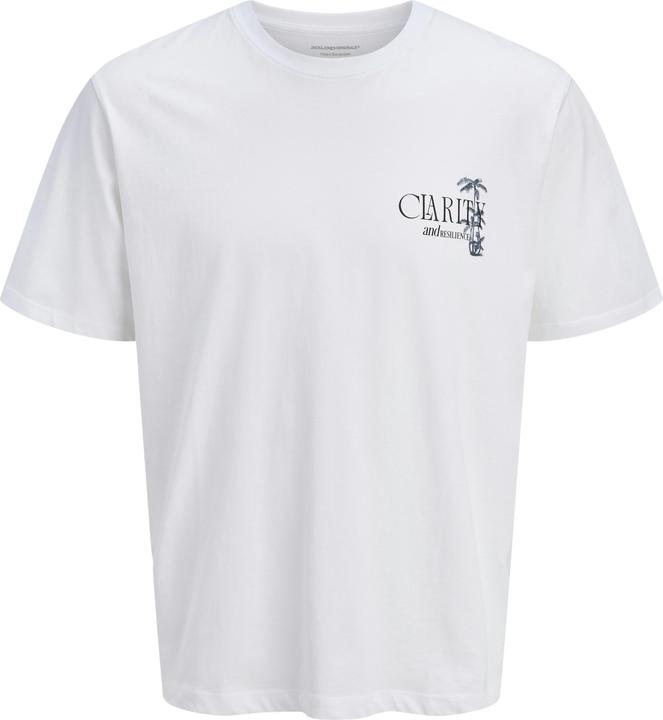 Produktbild Jack & Jones Jorbradley Clarity Tee Ss C.N Stmss25 (XXL)