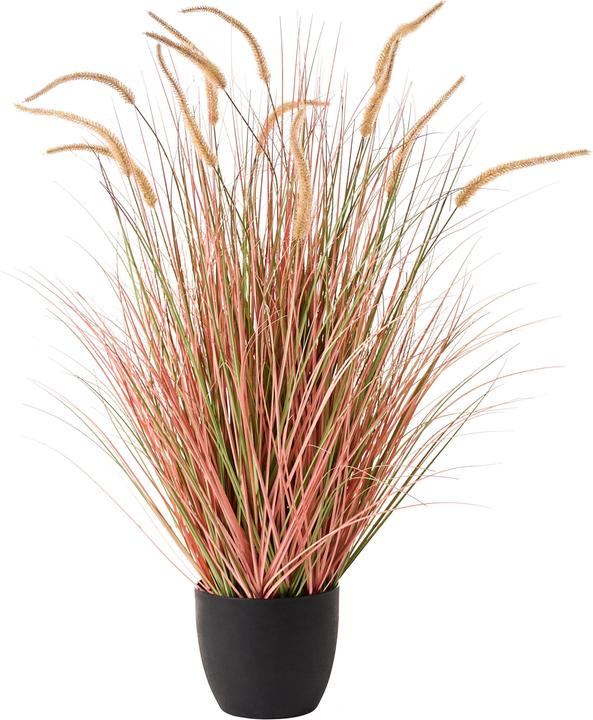 Immagine prodotto Beliani Bristlegrass (120 cm)