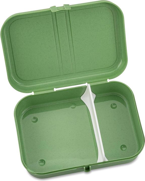 Actual product image Koziol Lunchbox Pascal L Green