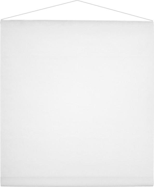 Produktbild Santex Tenture de salle - Blanc (50m) (1 Stk.)