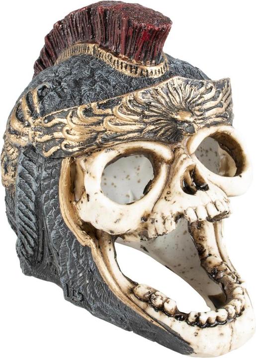 Actual product image EBI Aqua Della Skull novel (Embellishment, other items)
