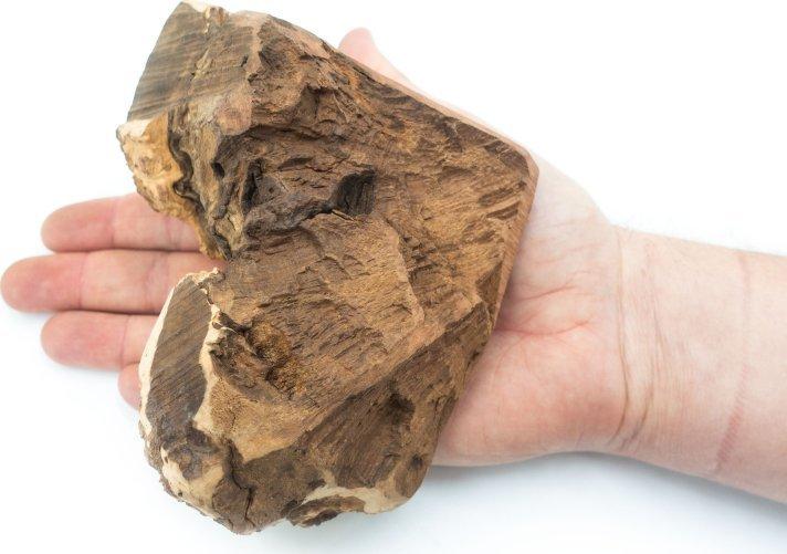 Actual product image 4Dogs Original 4DOGS Korzeń wrzośca dla psa - gryzak L (Dog chew toy)