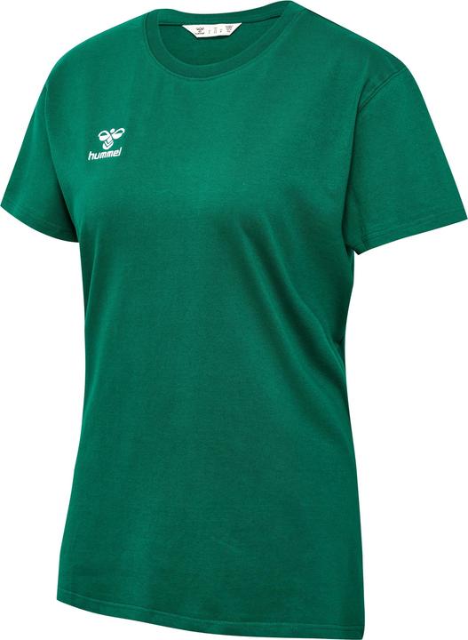 Sempreverde