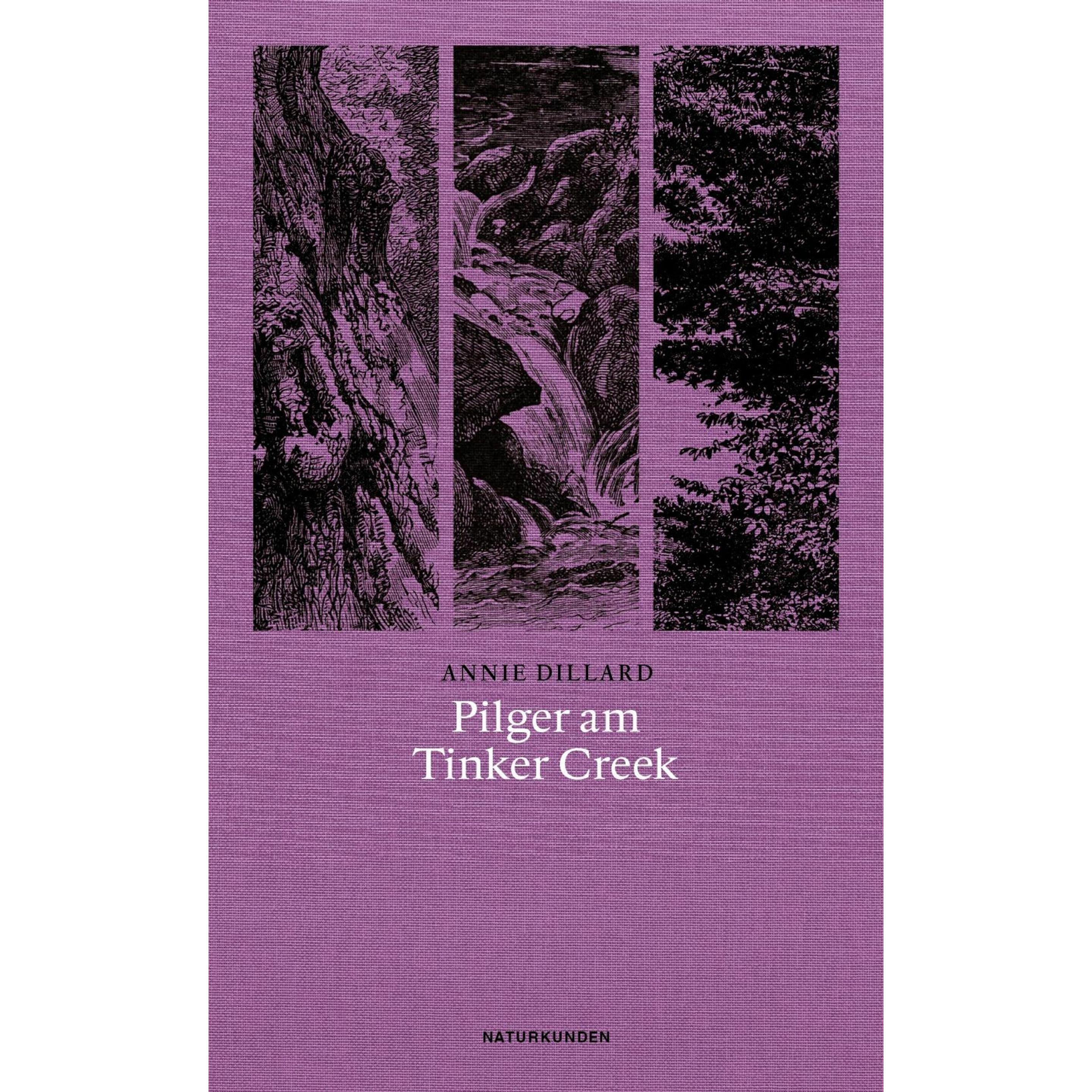 Pilger am Tinker Creek, Ratgeber von Annie Dillard, Judith Schalansky, Karen Nölle