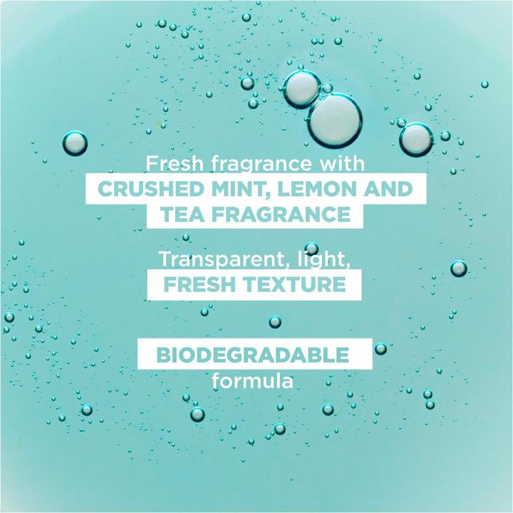 Produktbild Klorane Detox-Shampoo mit BIO-Wasserminze (400 ml, Flüssiges Shampoo)