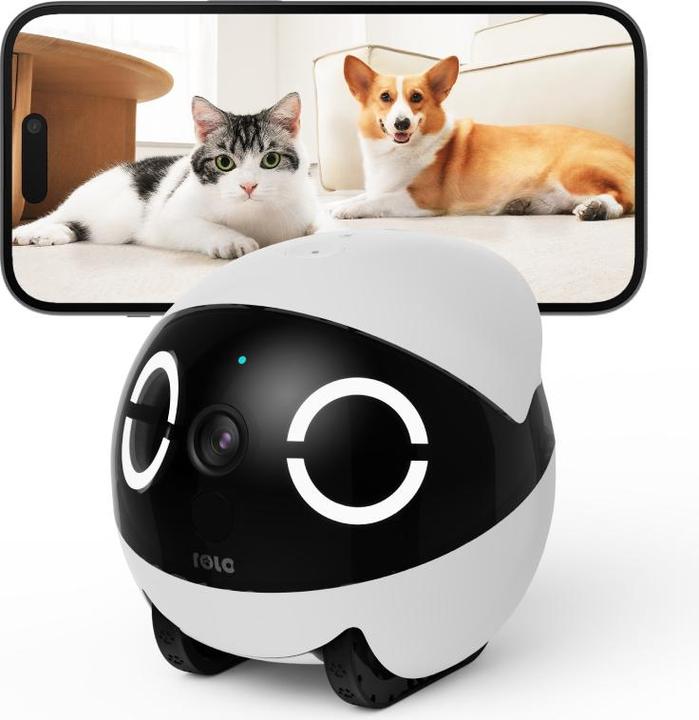 Actual product image Enabot Rola Mini Companion Robot (2304 x 1296 Pixels)