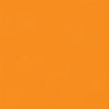 Immagine prodotto Talens Vernice opaca Ecoline 30ml (30 ml)