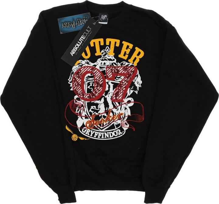 Actual product image Boys Gryffindor Seeker Sweatshirt (152, 158)
