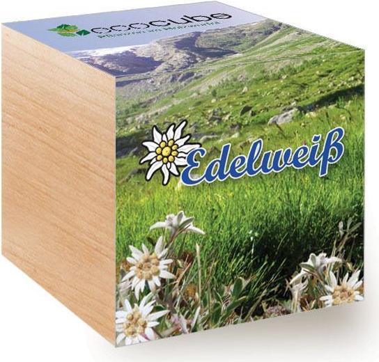 Actual product image Feel Green Ecocube (Flower seeds)