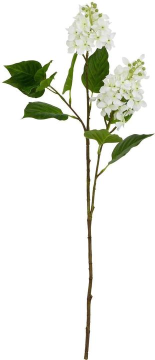 Produktbild Hill Interiors Kunstblume (30 cm)
