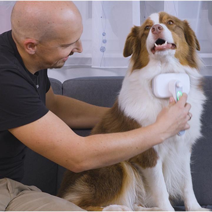 Productafbeelding MediaShop PiddiPet (Kat)