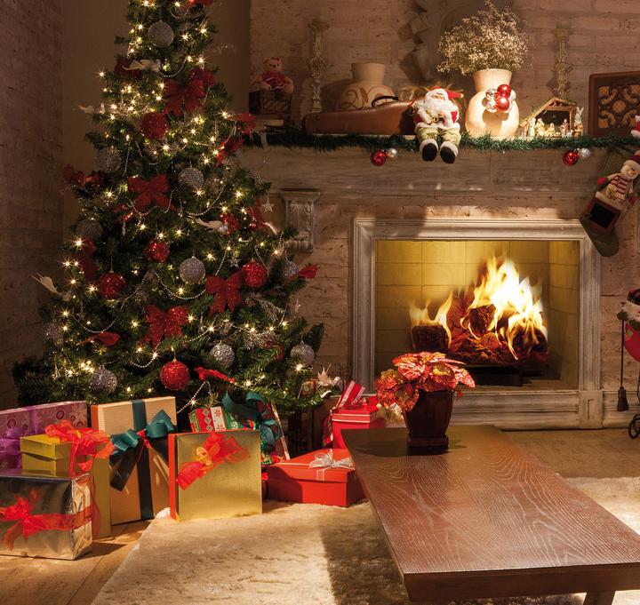 Produktbild Royal Gardineer Weihnachtsbaum-Anzucht-Set inklusive 10 Nordmanntannen-Samen