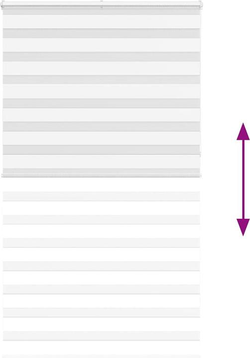 Produktbild vidaXL Zebra-Jalousie (125 x 230 cm)