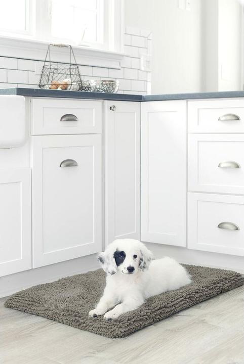Actual product image Dog Gone Smart Dirty Dog (Dog)