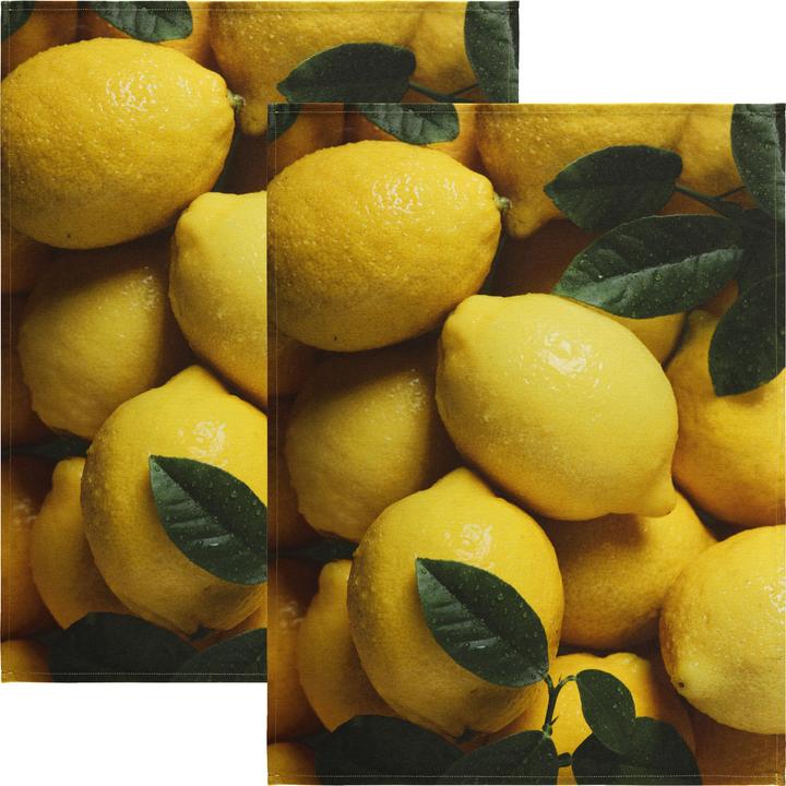 Produktbild Erwin Müller Geschirrtuch 2er-Pack (70 x 50 cm)