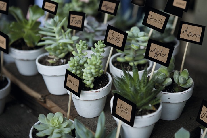 Actual product image Herma Grass paper multipurpose labels