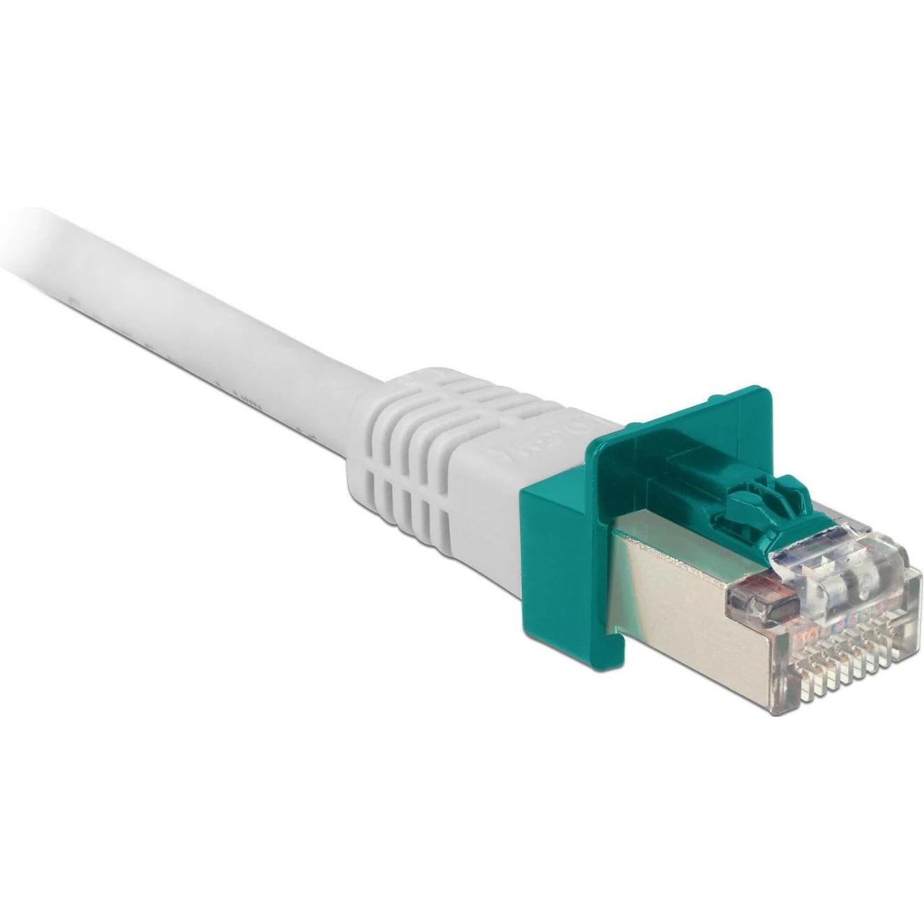 Delock RJ45 Verriegelungs Clips 20er Set (Montage-Kit), Netzwerk Zubehör