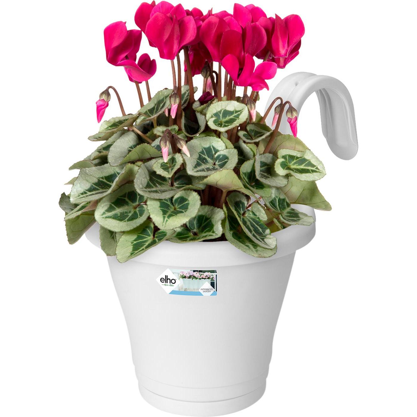 Thumbnail - Elho, Blumentopf, Corsica (27.10 cm)