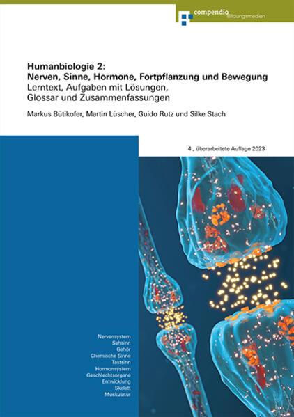 Produktbild Humanbiologie 2: Nerven, Sinne, Hormone, Fortpflanzung und Bewegung (Deutsch, Silke Stach, Guido Rutz, Martin Lüscher, Markus Bütikofer, 2023)