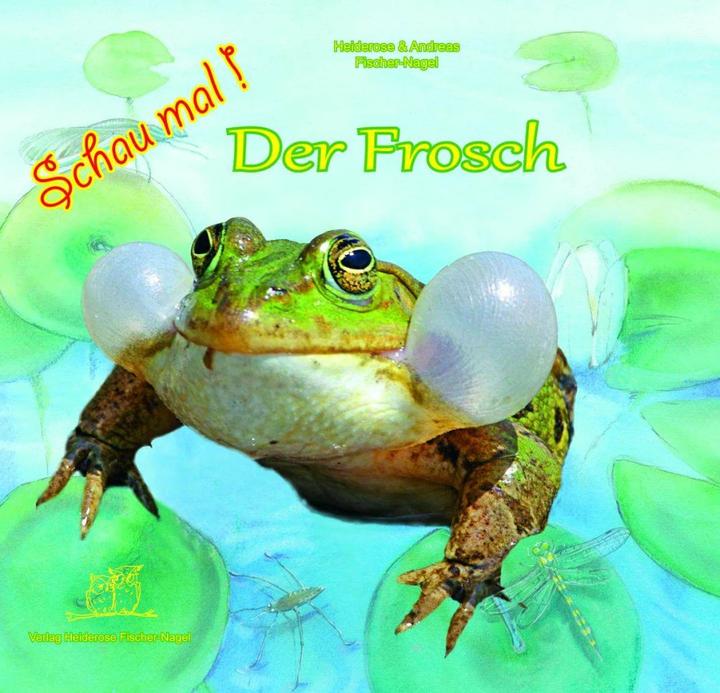Produktbild Schau mal! Der Frosch (Deutsch, Andreas Fischer-Nagel, 2015)